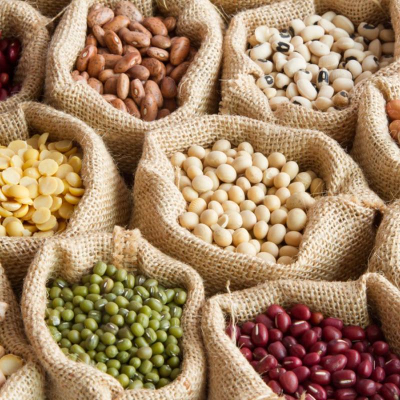 legumineuses-la-liste-des-principaux-legumes-secs.jpeg