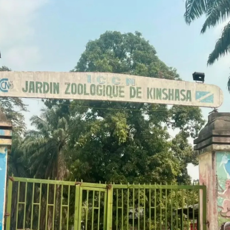 Jardin Zoologique de Kinshasa