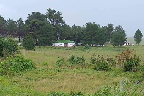 IMG-20200527-WA0083.jpg
