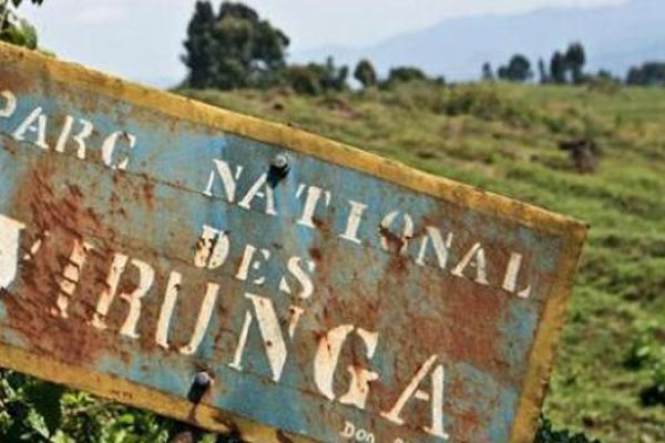 Parc-des-Virunga.jpeg